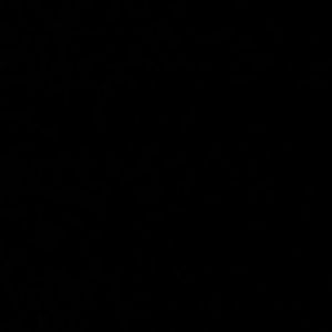 Meet your Posher, Gianna